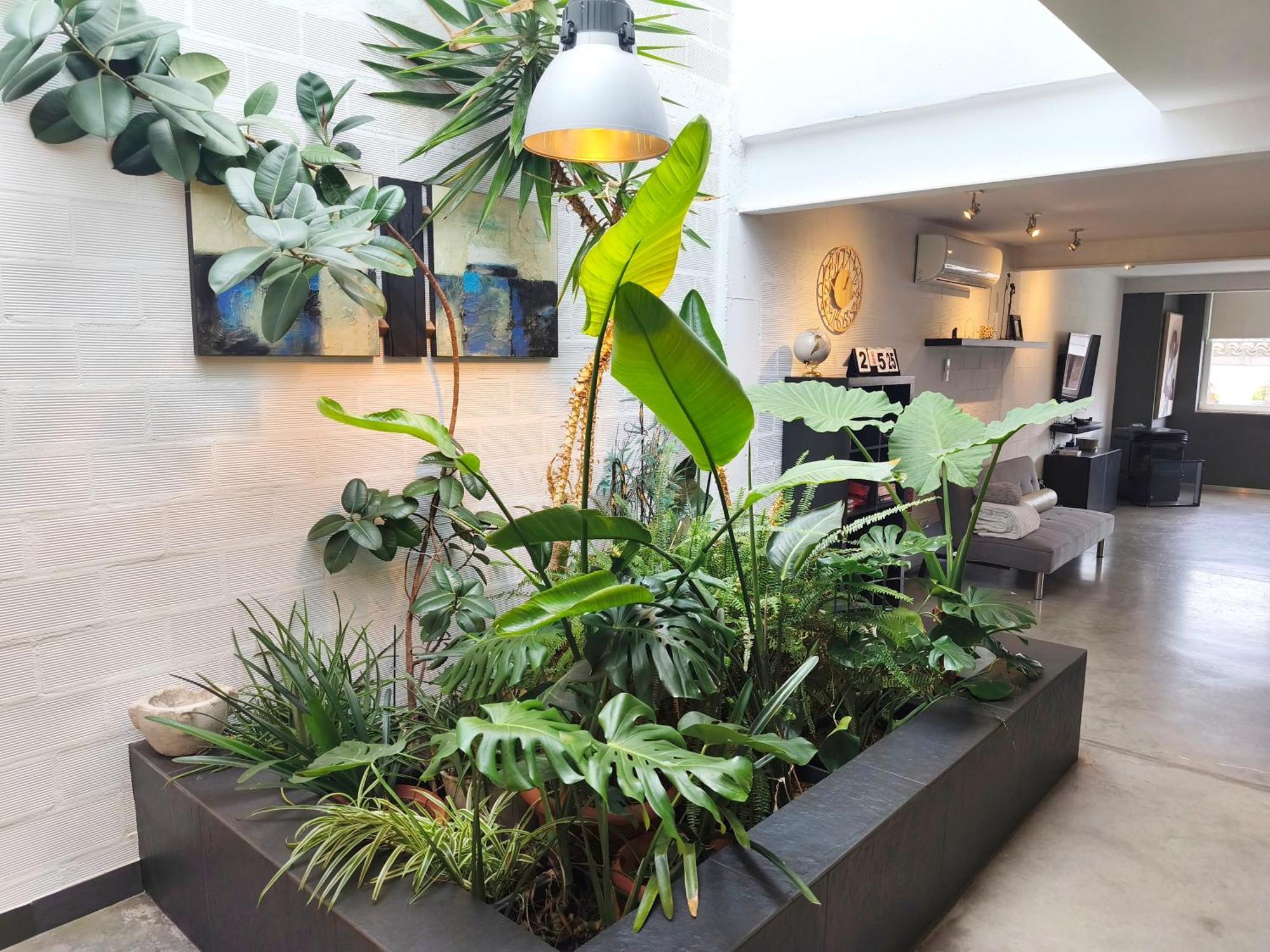 Appartamento Loft Carrasketa Alfafara Esterno foto